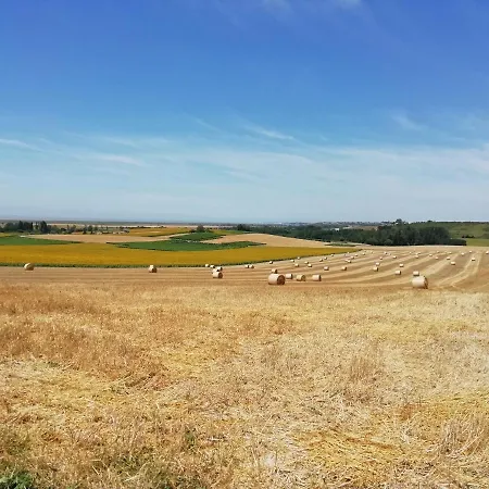 Pensjonat Chateau Des Salles Saint-Fort-sur-Gironde