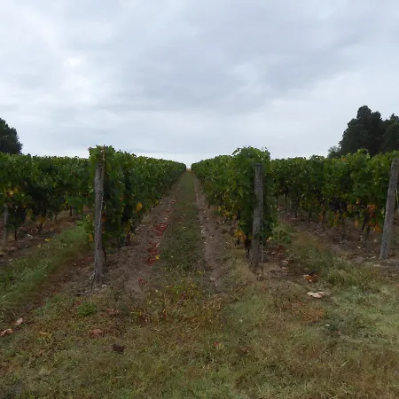 Chateau Des Salles 3* Saint-Fort-sur-Gironde