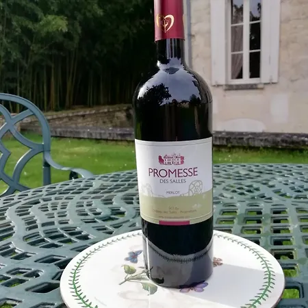 Pensjonat Chateau Des Salles Saint-Fort-sur-Gironde