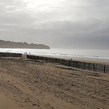 Chateau Des Salles Saint-Fort-sur-Gironde