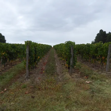 Chateau Des Salles 4*