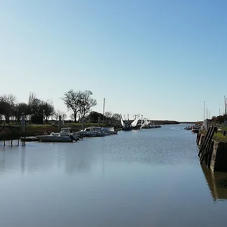 Pensjonat Chateau Des Salles Saint-Fort-sur-Gironde