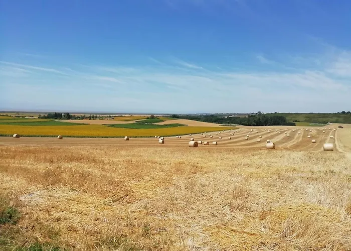 Pensión Chateau Des Salles Saint-Fort-sur-Gironde