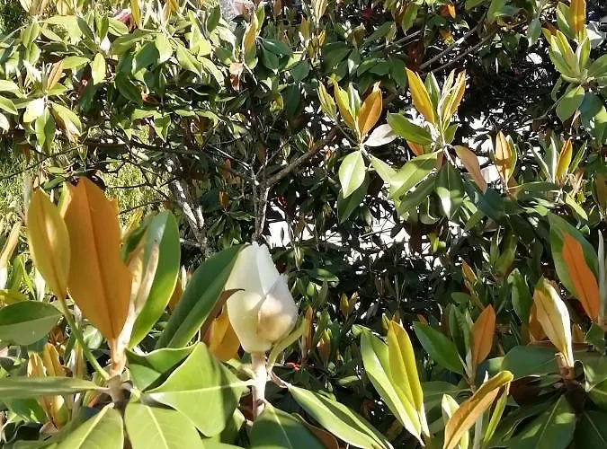 Pensión Chateau Des Salles 4*