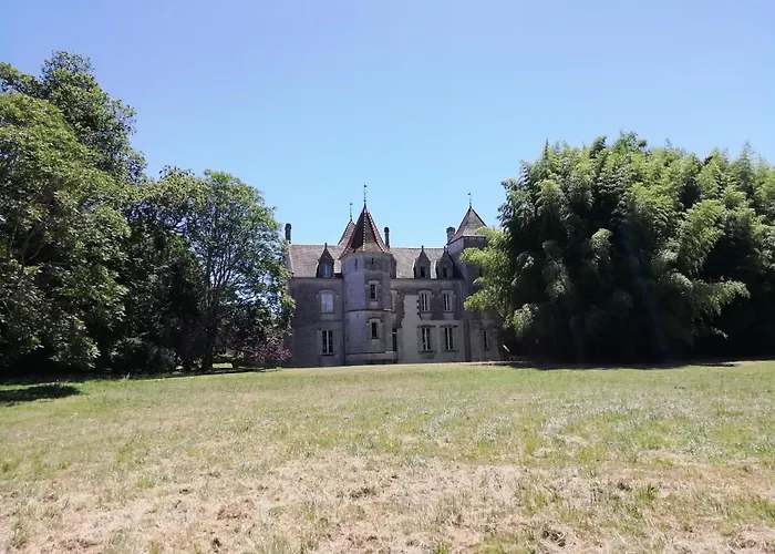 Chateau Des Salles Saint-Fort-sur-Gironde