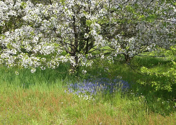 Chateau Des Salles Saint-Fort-sur-Gironde