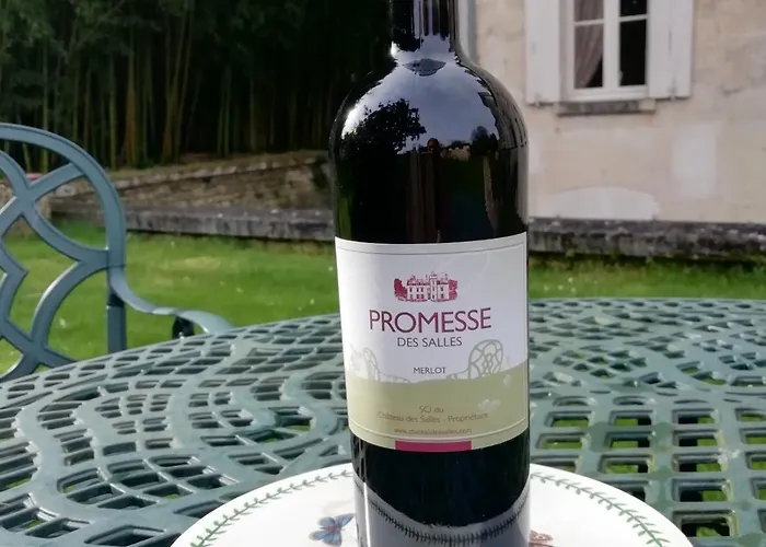 Pensión Chateau Des Salles Saint-Fort-sur-Gironde