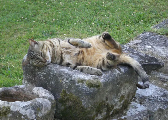 Pensión Chateau Des Salles 4*