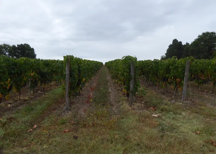 Chateau Des Salles 4*